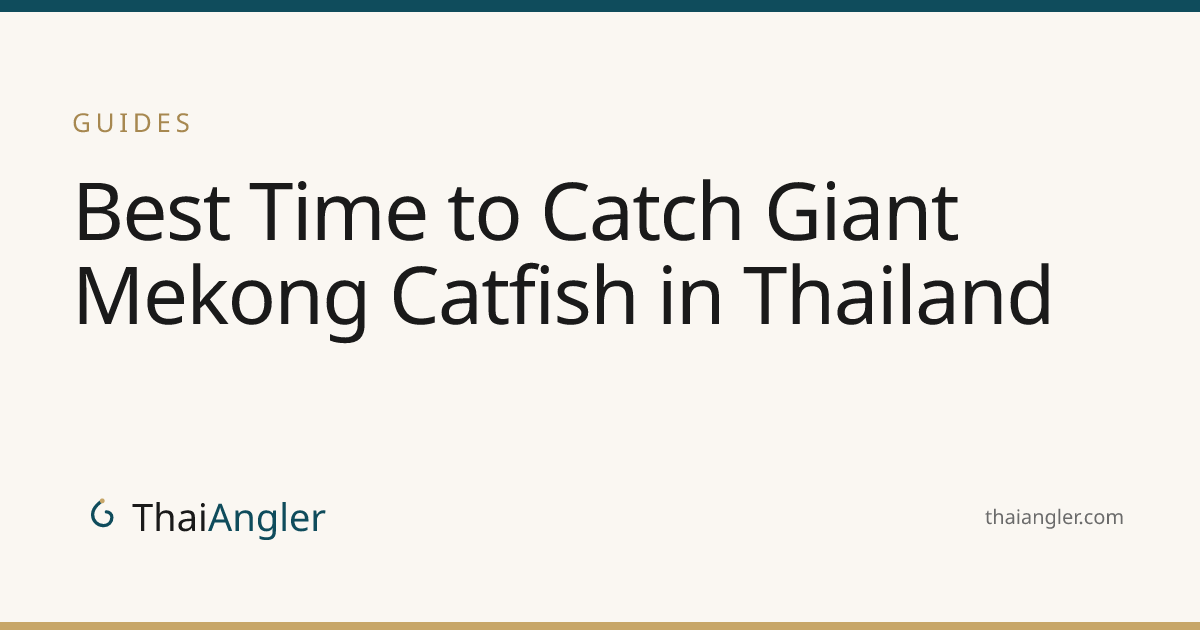 Best Time to Catch Giant Mekong Catfish in Thailand · ThaiAngler