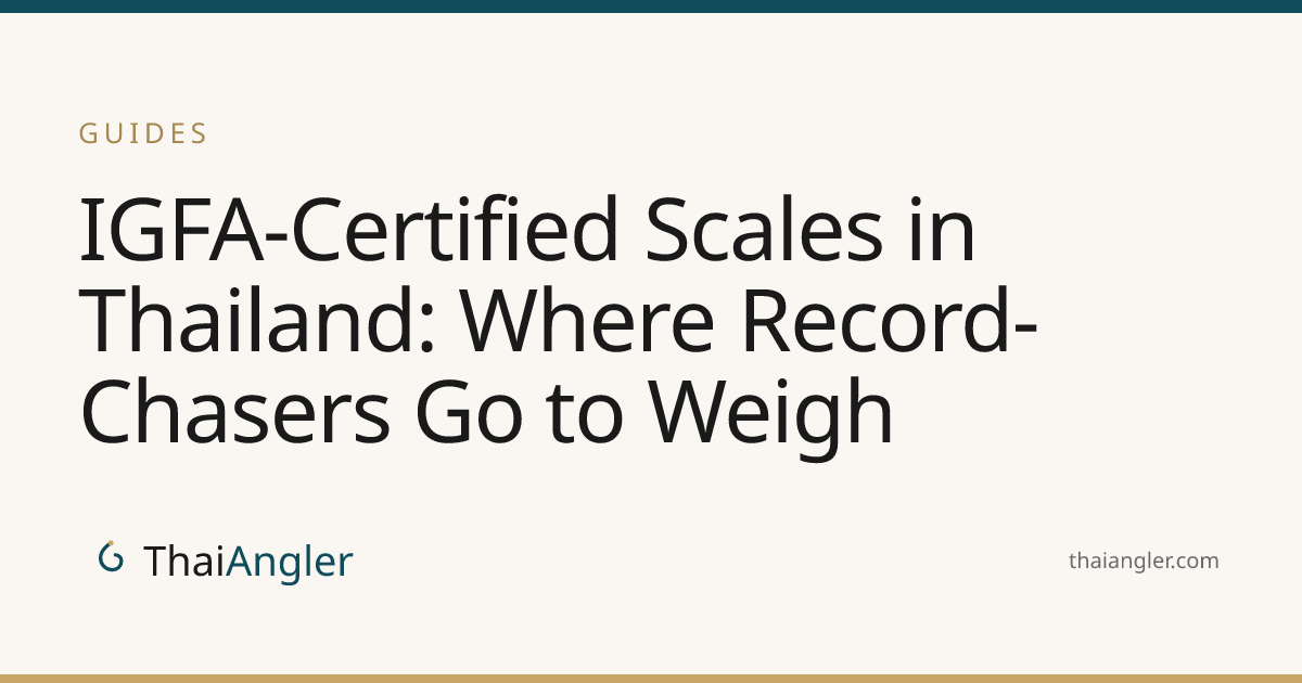 IGFA-Certified Scales in Thailand: Where Record-Chasers Go to Weigh ...