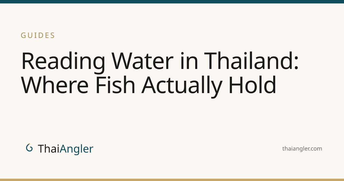 Reading Water in Thailand: Where Fish Actually Hold · ThaiAngler